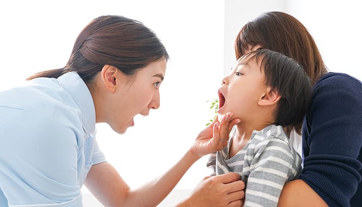 歯の病気を予防する予防歯科